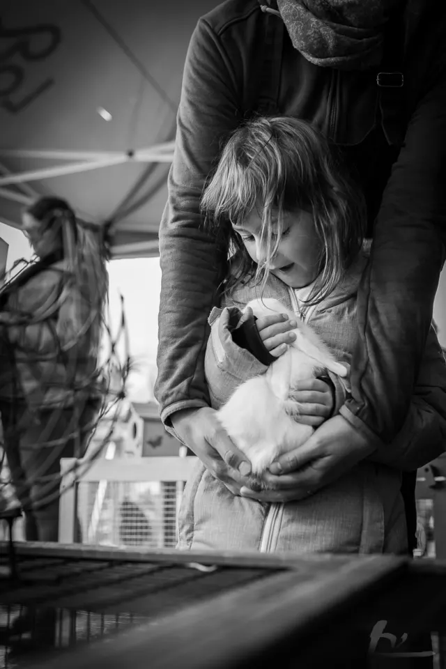 Marché artisanal du Vieux-Pont — édition 2017, photo 22