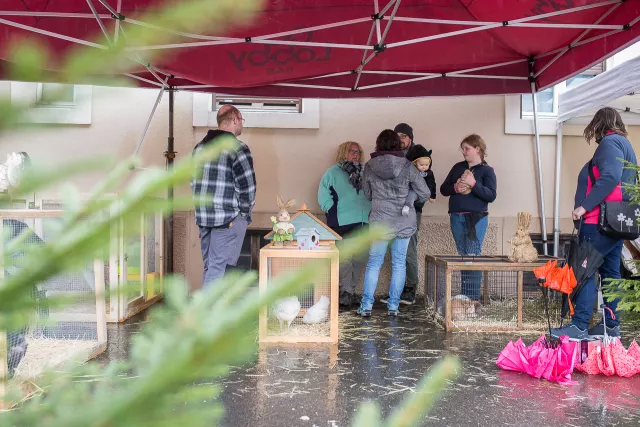 Marché artisanal du Vieux-Pont — édition 2017, photo 9